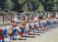 地域に続く「お田植まつり」で 田植えをする生徒たち