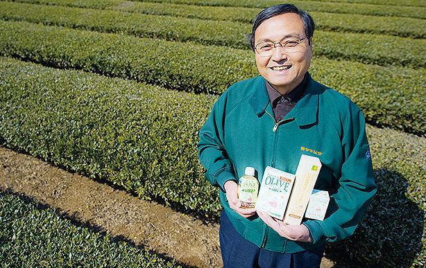 お茶用のオリーブ畑～小豆島の新しい挑戦～｜ビジネス香川