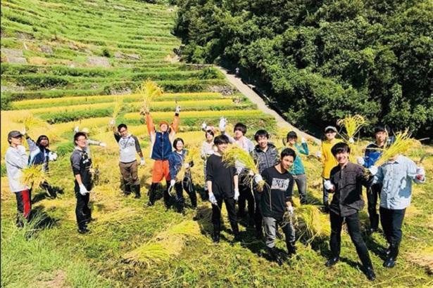 小豆島 棚田での稲刈り体験