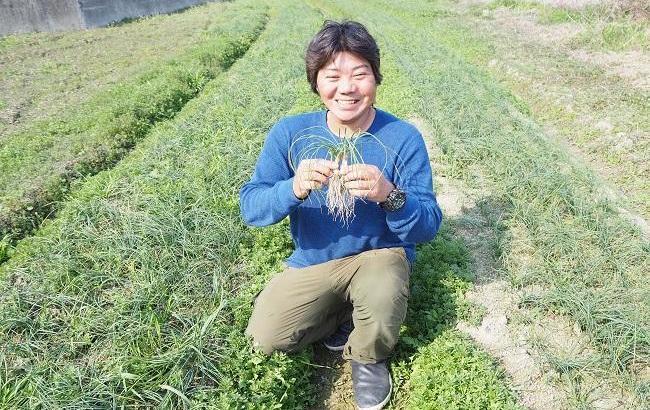 手に持っているのがサフランの球根。冬から春にかけて畑で養生する