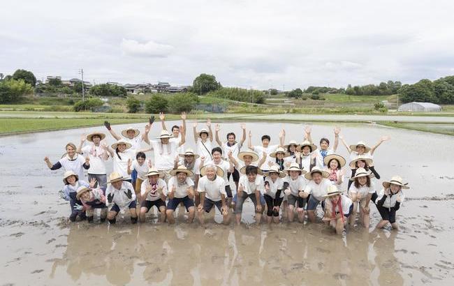 今年6月の田植え