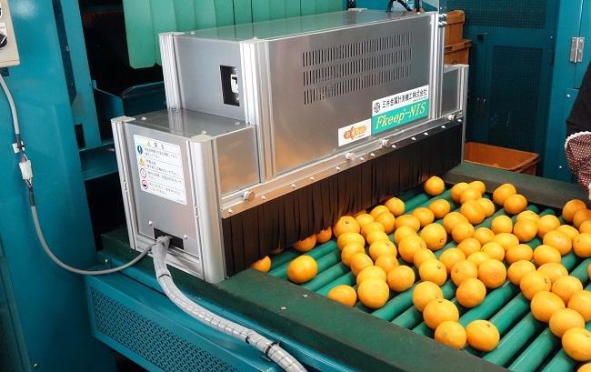 柑橘選果場への導入事例。赤外光自体は、テレビのリモコンにも使われている安全な光