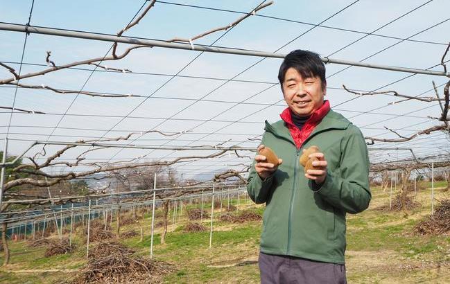 高松市香南町のキウイ畑。収穫後、次のシーズンに向けて枝は剪定しておく