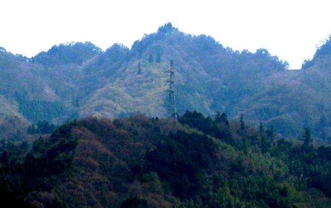 昼寝城は、さぬき市前山の昼寝山（455ｍ･矢作山の北西中腹）に築かれた＝さぬき市文化財保護協会提供