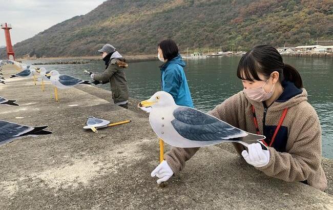 【写真提供】瀬戸内こえびネットワーク