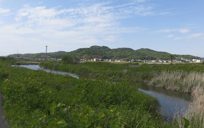 南西側から遠望した櫛梨山（如意山）＝琴平町観光商工課提供