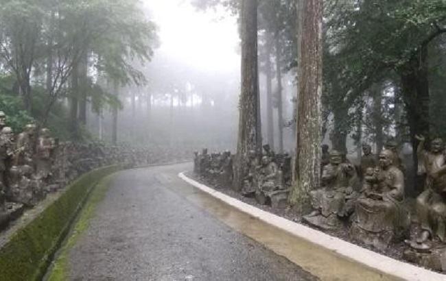 雲辺寺の参道