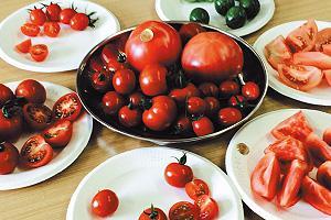 4月の店頭に並ぶいろいろなトマト