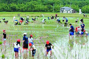 今年も地域住民が参加して 「空ちゃん田んぼ」の田植えが行われた