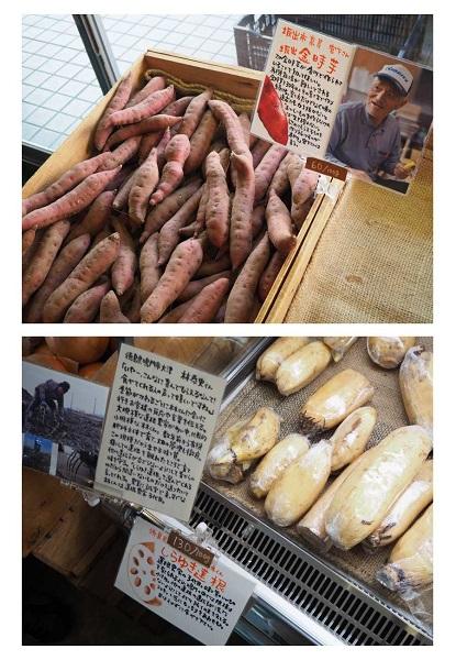 秋~冬におすすめの坂出の金時芋(上)と、鳴門のしらゆき蓮根