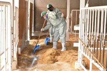 牛舎の掃除は毎日必ず行う。害虫や害獣の侵入を防ぐため戸締りにも念を入れる