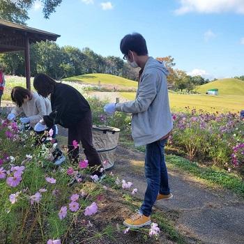 まんのう公園で行ったコスモスの剪定ボランティア
