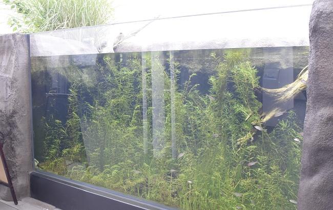 年月を経て形成された、ため池の生態系も展示(四国水族館)