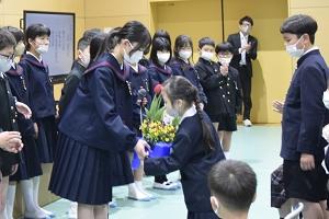 チューリップの鉢植えをプレゼント