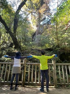 趣味は旅行。屋久島の縄文杉を訪ねたことも