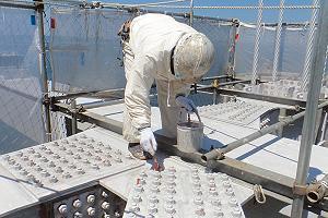 塗替塗装する作業員=南備讃瀬戸大橋