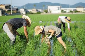 地元の人と田植え体験