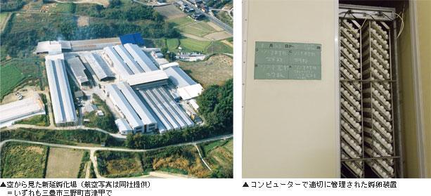 ▲空から見た新延孵化場(航空写真は同社提供)=いずれも三豊市三野町吉津甲で ▲コンピューターで適切に管理された孵卵装置 ◆写真撮影 フォトグラファー 太田 亮