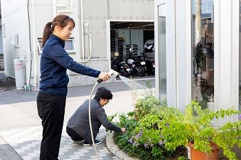 従業員が手入れしている花壇